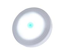 Ipetboom Veilleuse LED Portable à Bouton-Poussoir Lampe de Nuit à Lumière Blanche avec Batterie Intégrée Éclairage pour Placard Couloir et Armoire Lampe de Couloir Pratique et Outil