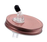 Ipetboom Verseur pour Bocaux avec Couvercle Étanche à Bec Verseur Distributeur Pratique pour Vin Huile Sauce Soja et Vinaigre Compatible Large Ouverture Finition Rose Doré
