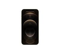 iPhone 12 Pro Max - 5G smartphone - double SIM / Mémoire interne 256 Go - écran OEL - 6.7" - 2778 x 1284 pixels - 3 x caméras arrière 12 MP, 12 MP, - Reconditionné