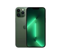 Apple iPhone 13 Pro Max 17 cm (6.7") Double SIM iOS 15 5G 128 Go Vert