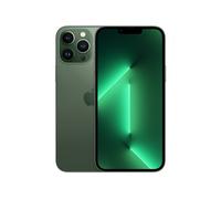 Apple iPhone 13 Pro Max 17 cm (6.7") Double SIM iOS 15 5G 1 To Vert