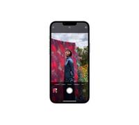 iPhone 13 Pro Max - 5G smartphone - double SIM / Mémoire interne 256 Go - écran OEL - 6.7" - 2778 x 1284 pixels (120 Hz) - 3 x caméras arrière 12 MP, - Reconditionné