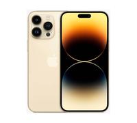 Apple iPhone 14 Pro Max 17 cm (6.7") Double SIM iOS 16 5G 1 To Or