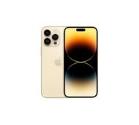 Apple iPhone 14 Pro Max 17 cm (6.7") Double SIM iOS 17 5G 256 Go Or