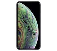 iPhone XS : Gris / 256 GB