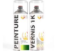 ipixline Kit Retouche Peinture Carénage Moto - Bombe Aérosol Peinture 400 ml, Vernis Brillant 1k 400 ml - Compatible avec Kawasaki - Candy Lime Green 51P