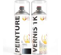 ipixline Kit Retouche Peinture Carrosserie Voiture - Bombe Aérosol Peinture Auto 400 ml, Vernis Brillant 1k 400 ml - Compatible avec Renault - Gris Eclipse B66