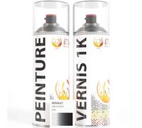 ipixline Kit Retouche Peinture Carrosserie Voiture - Bombe Aérosol Peinture Auto 400 ml, Vernis Brillant 1k 400 ml - Compatible avec Renault - Gris Schiste KQG