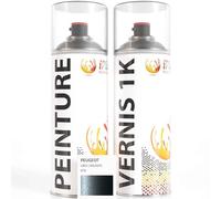 ipixline Kit Retouche Peinture Carrosserie Voiture - Bombe Aérosol Peinture Auto 400 ml, Vernis Brillant 1k 400 ml - Compatible avec Peugeot - Gris Carlinite KTA