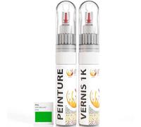ipixline Kit Retouche Peinture Carrosserie Voiture - Stylo Correcteur Peinture 30 ml, Vernis Brillant 1k 30 ml - Compatible avec Ral - Vert Brillant 6038
