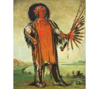 IPLUPJDY Peinture Poster Abstraite Tableau Mural Peinture sur Toile Animal Chief Head Chief of the Tribe par George Catlin Art Mural en Toile Pour les Décorations pour la Maison 60x90cm