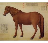 IPLUPJDY Peinture Poster Art Mural en Toile Impression Tableaux un animal nommé Dawanliu de Giuseppe Castiglione Peinture Affiche Pour la Décoration Murale 60x90cm