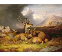 IPLUPJDY Peinture Poster Tableaux Moderne Image Abstraites Highland Felicity Ben Lebrig dans le par un artiste célèbre Art Poster Mural Pour la Décoration Murale 60x90cm