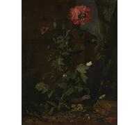 IPLUPJDY Peinture Poster Tableaux Moderne Image Abstraites Nature mortecoquelicots et reptiles d'Otto Marseus Van Schrieck Art Poster Mural Pour la Décoration Murale 60x90cm
