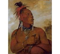 IPLUPJDY Peinture Poster Tableaux Moderne Image Abstraites Petit animal blanc un courageux distingué par George Catlin Art Poster Mural Pour la Décoration Murale 60x90cm