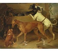 IPLUPJDY Tableaux Célèbres Impressions d'Art Image sur Toile Chiens Krugers par Kruger Tableaux en Toile Pour les Décorations pour la Maison 60x90cm