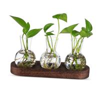 iplusmile 1 Ensemble Vase hydroponique Vase Clair conteneurs de Propagation centres de Table Fleuris conteneur hydroponique Support de Propagation en Bois Transparent
