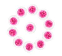 iplusmile 10pièces Manchons pour Lampe De Camping Housse Maille pour Lanterne à Gaz Remplacement pour Manchon De Lampe à Kérosène Extérieur