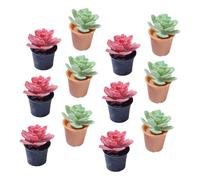 iplusmile 12 pièces Miniature Potted Plant Set Miniature Bonsai Models Artificial Plants for Doll House and Mini Garden Decor