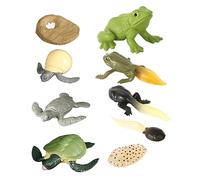 iplusmile 2 Ensembles Figurines Évolution Tortue et Set Modèles Réalistes pour Garçon Fille Apprentissage Cycle de Vie Décoration Animaux