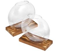 iplusmile 2 Ensembles Vase Transparent Base Éucalyptus de Vases Décoratifs pour Plantes Hydroponiques Support de Propagation pour Fleurs Plantes Vertes