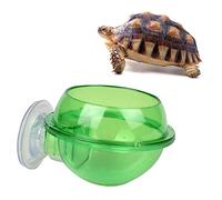 iplusmile 2 Pièces Chargeur d'eau Lézard Chargeur pour L'animal De Compagnie Alimentation Gecko Reptile Petit Bol à Eau De Tortue Mangeoire Green