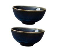 iplusmile 2 pièces Tasses à Thé Japonaises Céramique Lot Design Simple et Élégant pour Saké et Boissons Chaudes Faciles à Nettoyer et Résistantes