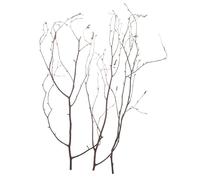 iplusmile 20pcs Dried Birch Tree Twigs, Natural Birch Wood Rustic Decor Branches, for Vase and Creative Display, Natural Craft Floral Sticks