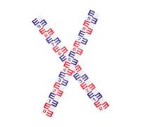 iplusmile 2pièces Autocollant De Niveau Eau pour Étang Et Piscine Règle Aluminium Réfléchissante Mesure Précise Et Visible Auto-adhésif Résistant La Corrosion pour Chantier Et Bassin