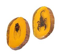 iplusmile 2pièces Pendants Ambre Avec Insectes Pour Création De Bijoux Charms Décoratifs Pour Boucles Oreilles Bracelets Et Colliers