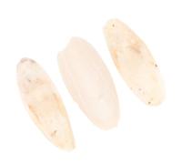 iplusmile 3 Pièces Jouets D'os De Seiche Jouets Perroquet Perruche Cage Cacatoès Oiseau Os pour Perche Perroquets Accessoires Pendaison Broyeur Déchiquetage Mordre Bec Beige