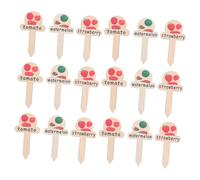 iplusmile 30 Pièces Weatherproof Wooden Name Markers With Patterns Lightweight Plant Stake Tags For Outdoor And Indoor Vegetable Gardens Greenhouses And Farms