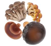 iplusmile 4 pièces Modèles Éducatifs Champignon Cycle de Vie Jouets Cognitifs Amusants pour Garçon Fille Kit Apprentissage Réaliste et Décoratif