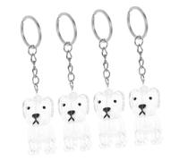 iplusmile 4 Pièces Porte Clés Commémoratif Chien Boîte Transparente Capsule Souvenir Poils Animaux Rangement Portable pour Propriétaires et