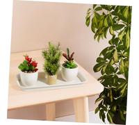 iplusmile 5 pièces Soucoupe Rectangulaire pour Pots de Fleurs Résine PP Beige Résistante Chaleur Durable et Facile à Nettoyer Protège Surfaces et Conserve Humidité pour Plantes