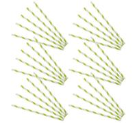 iplusmile 50 Bâtonnets en Papier pour Barbe à Papa 30 X 10 MM Rayés Vert et Blanc Compatibles Machines Automatiques Supports Hygiéniques pour Fêtes Foraines et Loisirs Créatifs