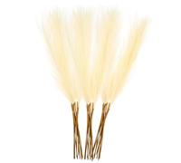 iplusmile 50 pièces Faux Pampas Grass Tiges Artificielles Courtes pour Décoration DIY Vase et Aménagement Style Naturel Beige