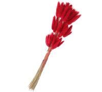 iplusmile 60 Branches de Queues de Lapin en Herbe Séchée Rouge Foncé, Décoration Intérieure Naturelle DIY, Composition Végétale pour Mariage, Bouquet Décoratif Bohème
