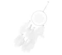 iplusmile Attrape-Rêves Décoratif Blanc en Matériaux Recyclables Pendentif Suspendu Créatif pour Décoration Murale Chambre Fille Présent D’Anniversaire Original et Ambiance Chaleureuse