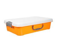 iplusmile Boîte à Sable Portable avec Couvercle Bac à Sable pour Garçon Fille Plastique Capacité avec Poignée pour Jeux Intérieur et Extérieur Rangement Pratique pour Jouets et Accessoires