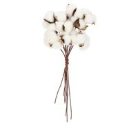 iplusmile Branche de Coton Séchée Blanche 10 Pièces, Décoration Naturelle pour Vase, Bouquet D’Hiver, Ornement Maison, Accessoire Déco Fête, Fleur de Coton Naturel Solide