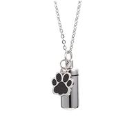 iplusmile Collier Urne pour Cendres de Chien Acier Inoxydable Pendentif Urne Os pour Cendres Animaux Collier Souvenir et Étanche pour Garde Mémoire de
