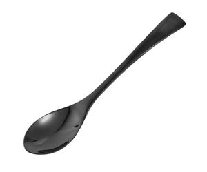 iplusmile Cuillère à Thé Inox Brossée Noire avec Finition Miroir Couverts de Table Élégants pour Usage Domestique Hôtel ou Restauration Teaspoon
