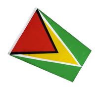 iplusmile Drapeau Guyana en Polyester Pliable et Remplaçable pour Décoration Extérieure et Club Sportif, Bannière de Pays Éclatante de 90x150cm