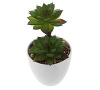 iplusmile Fausse Plante Grasse Pot Décorative Réaliste Petit Succulent Artificiel pour Décoration Maison et Bureau Entretien Facile sans Arrosage