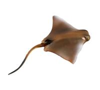 iplusmile Figurine de Modèle D’Animal Marin Petit Poisson Manta en Plastique Réaliste pour Garçon et Filles - Éducatif Océanique pour Développement Cognitif et Jeu Imaginaire