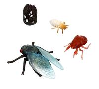 iplusmile Figurines Cycle de Vie Cigale Jeu Éducatif pour Garçon Fille Modèles Insectes Réalistes Couleurs Fidèles Activité Apprentissage