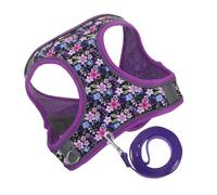 iplusmile Harnais pour Chiot et Laisse de Promenade Ajustable et Sécuritaire pour Petits Chiens et Chats