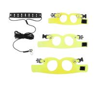 iplusmile Laisse et Harnais pour Petits Animaux Ajustable Taille SML Harnais de Traction Résistant aux Morsures Corde de 2 Mètres pour Hamster Écureuil Furet et Chinchilla Promenade en