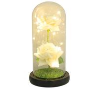iplusmile Lampe LED Rose Éternelle 2 Têtes Abat-Jour en Verre Transparent Lumière Chaude Décorative Saint-Valentin et Mariage Ornement Romantique pour Chambre et Soirée